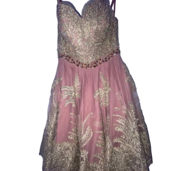 Johnny’s Pink & Gold Embellished Gown – Worn Once – Unique! - Picture 1 of 2